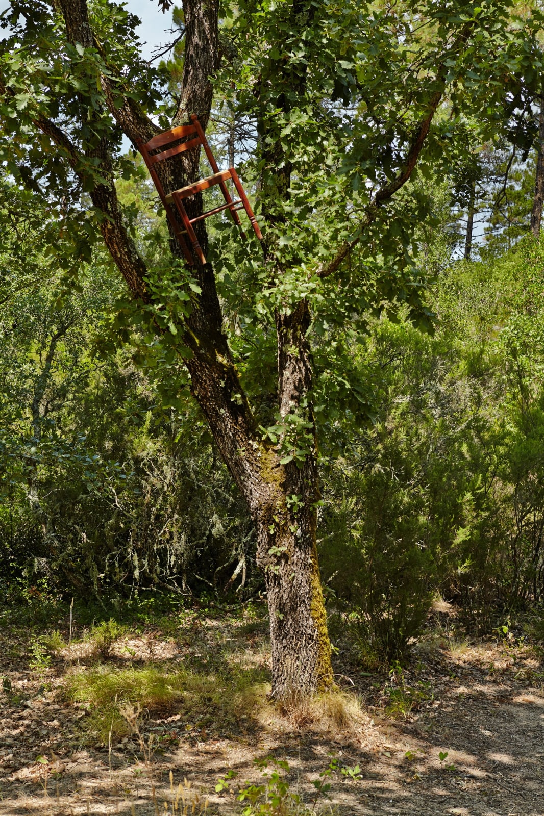 John M. Armleder, Untitled (4 chairs), 1986-2014