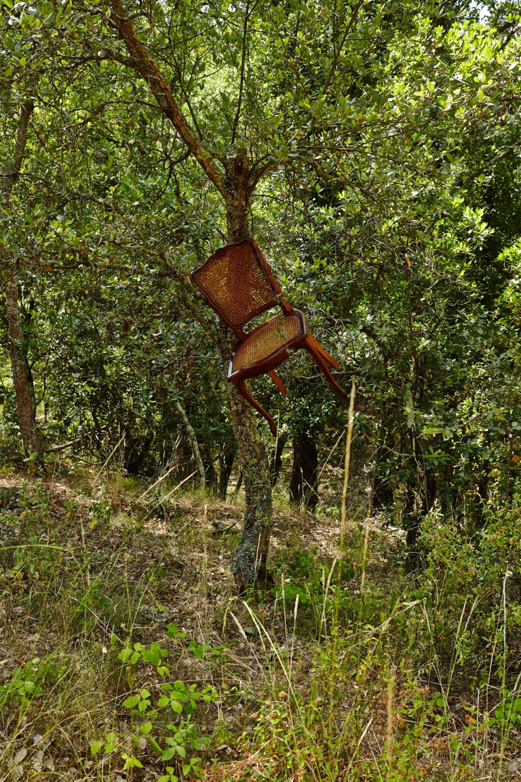 John M. Armleder, Untitled (4 chairs), 1986-2014