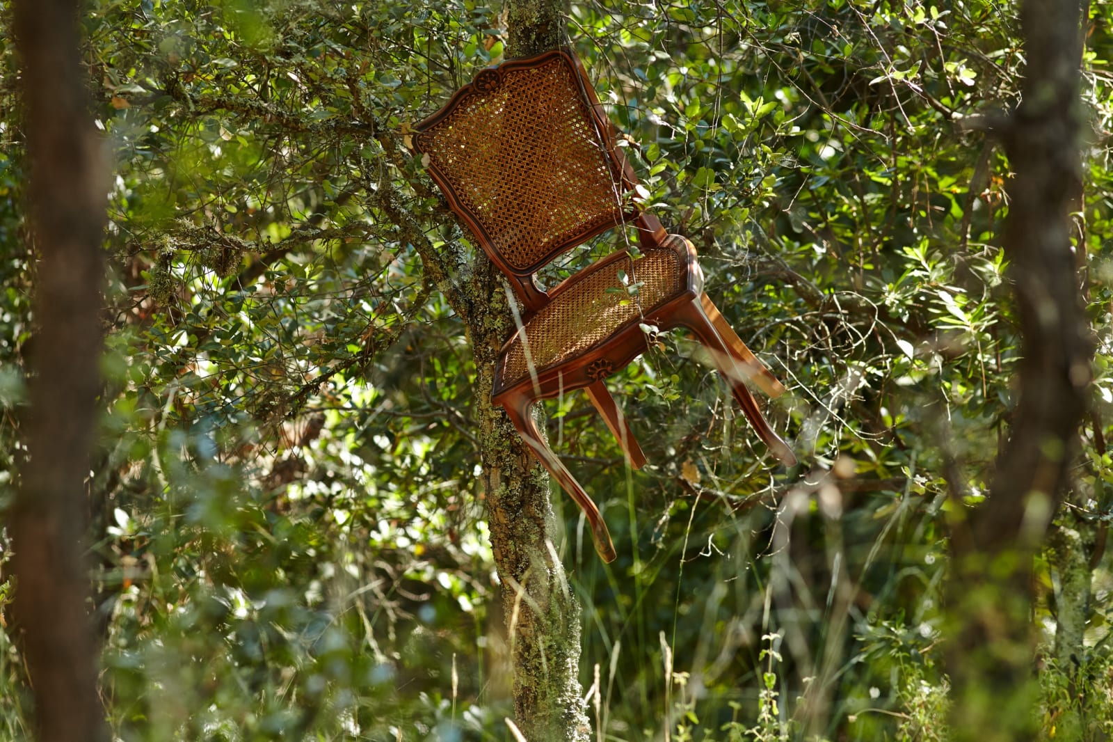 John M. Armleder, Untitled (4 chairs), 1986-2014