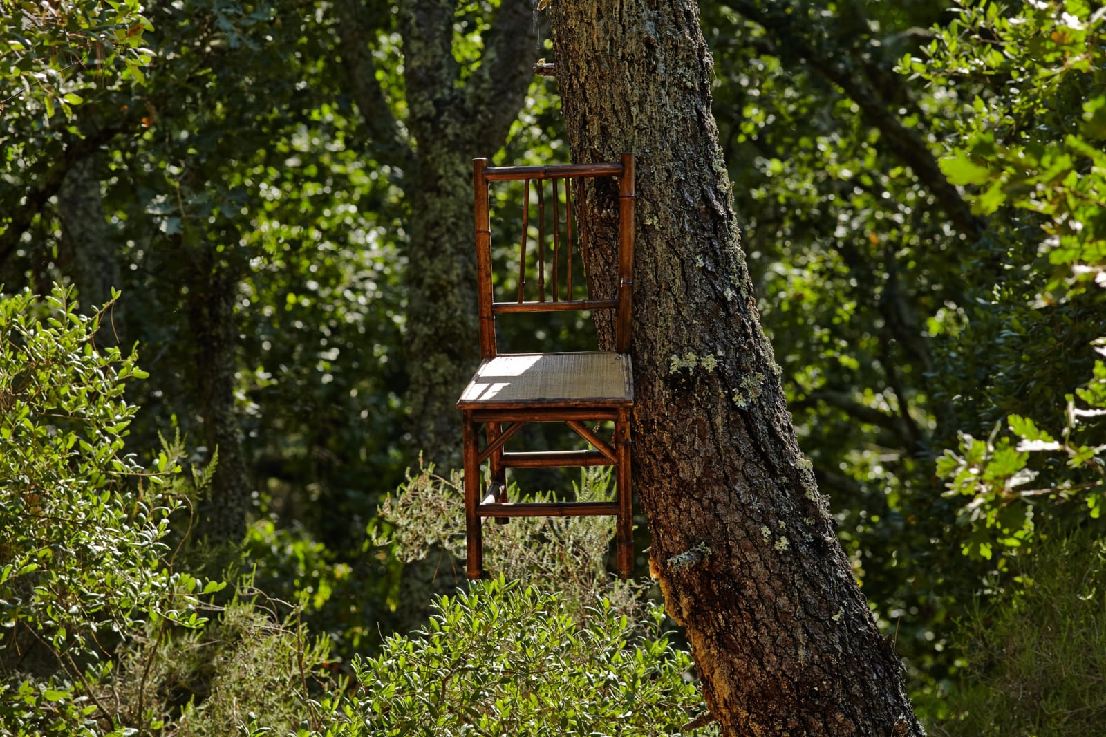 John M. Armleder, Untitled (4 chairs), 1986-2014