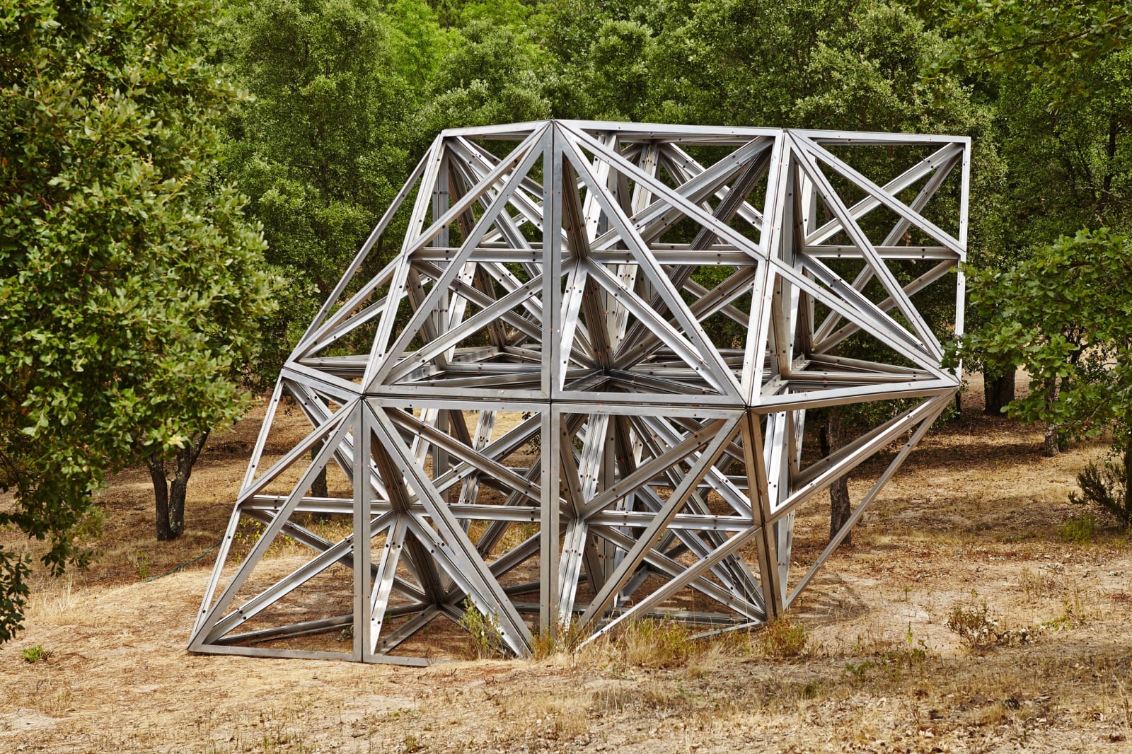 Conrad Shawcross, Lattice III, 2008