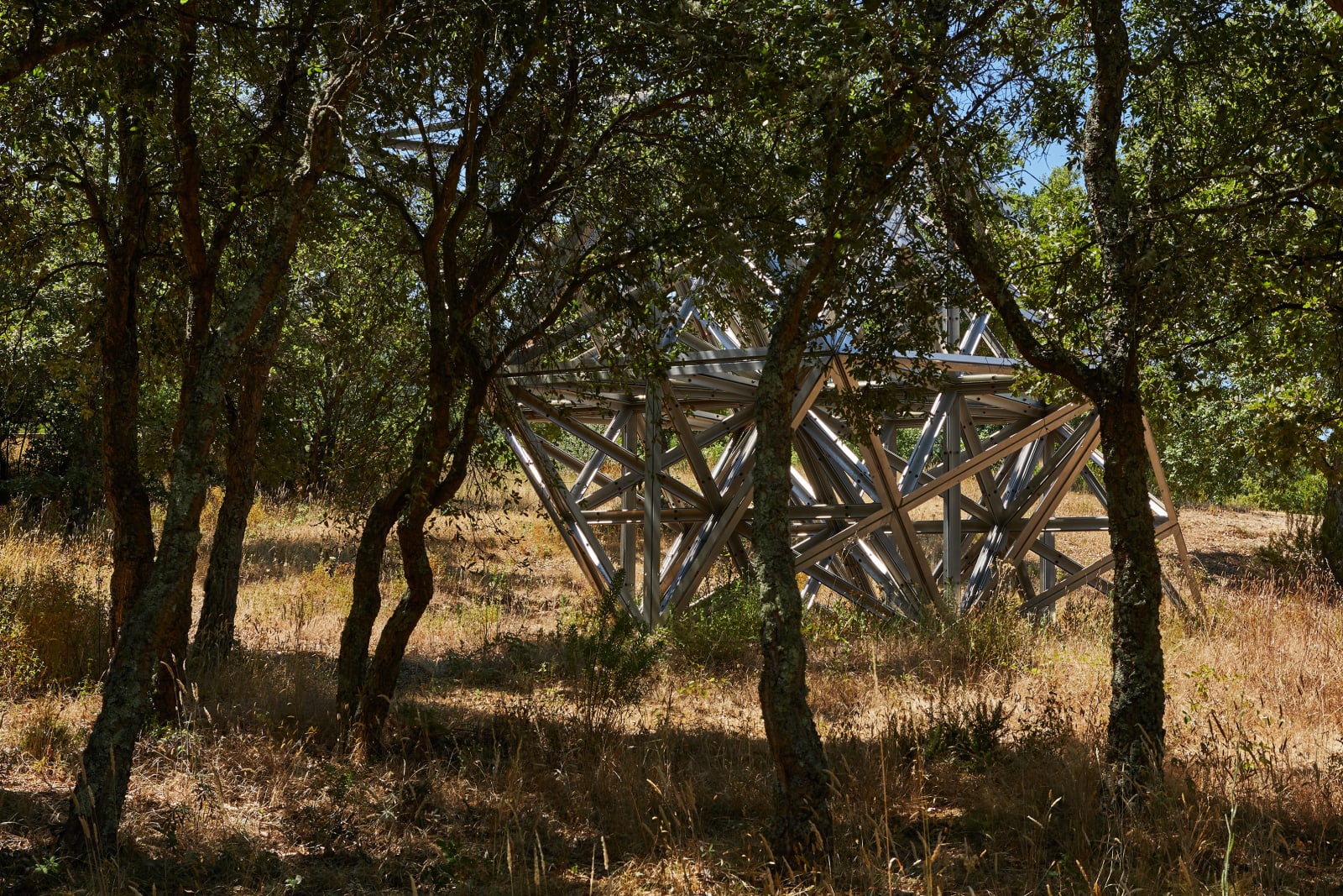 Conrad Shawcross, Lattice III, 2008