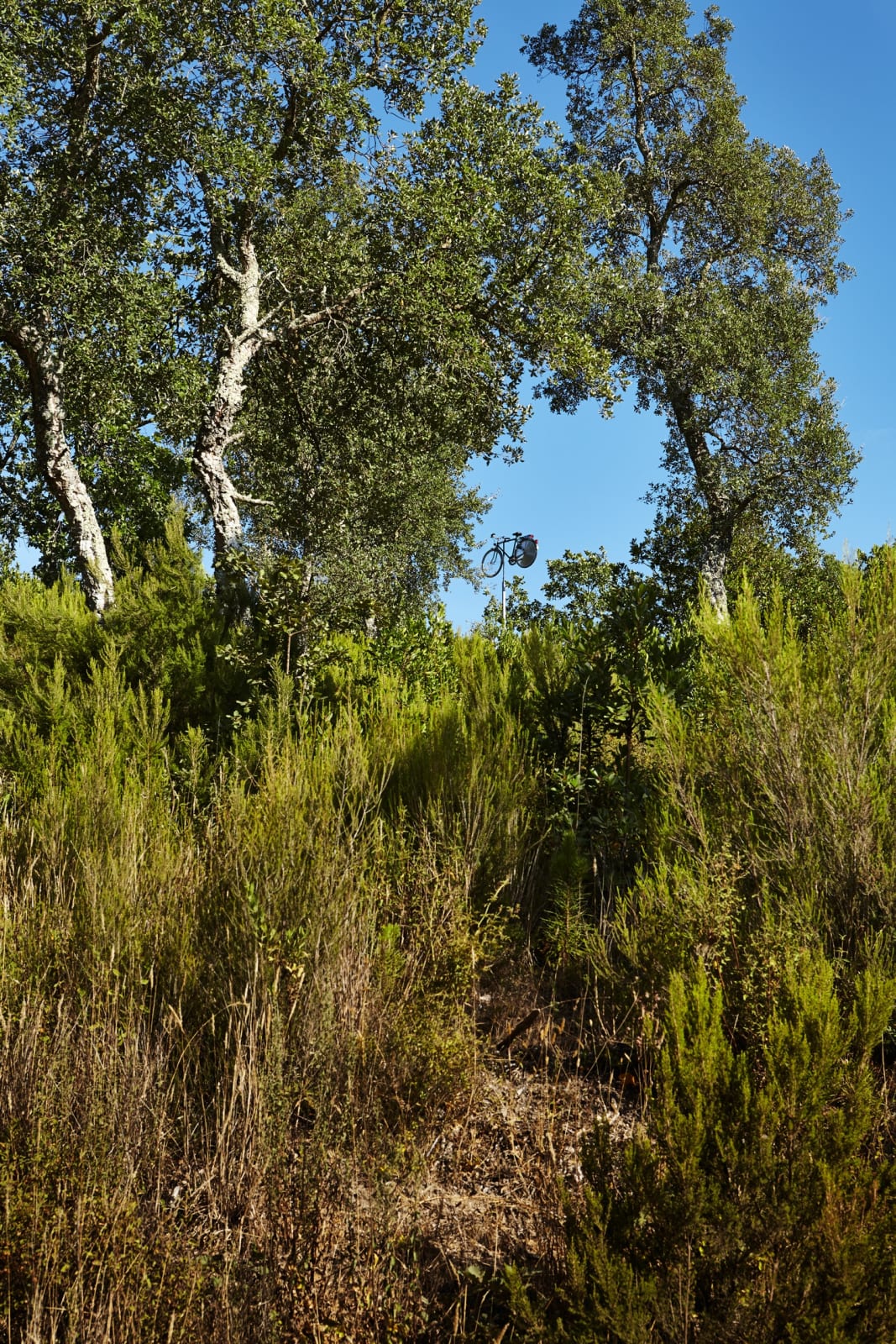 Roman Signer, Vélo Girouette, 2015