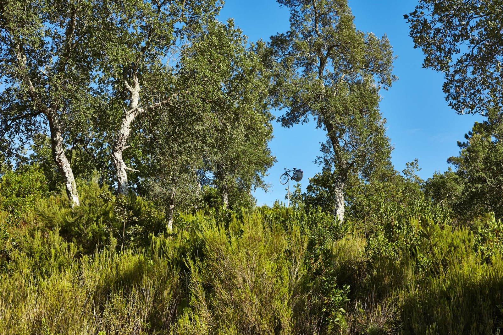 Roman Signer, Vélo Girouette, 2015