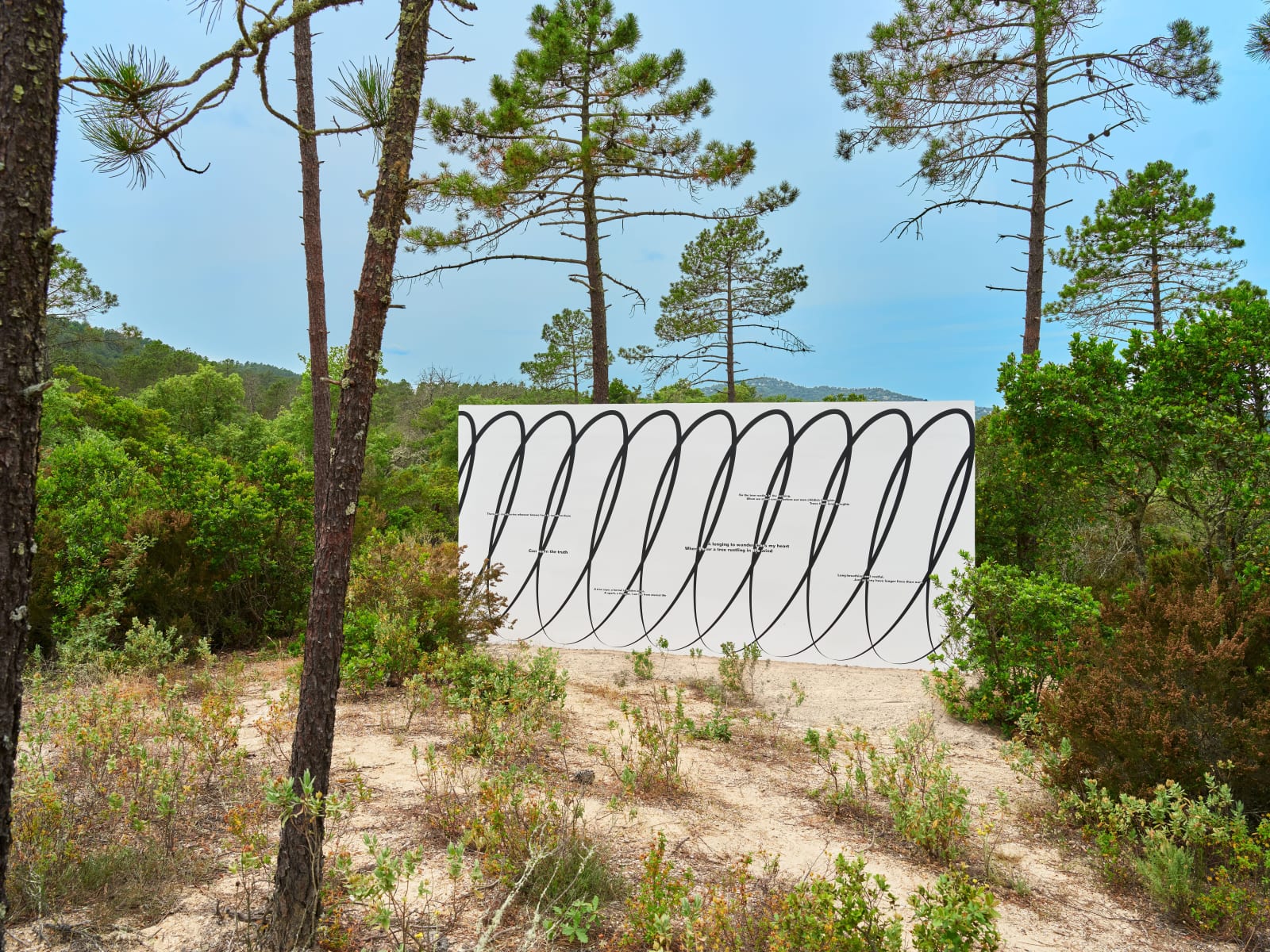 Claudia Comte, Whoever Has Learned How to Listen to Trees, 2025