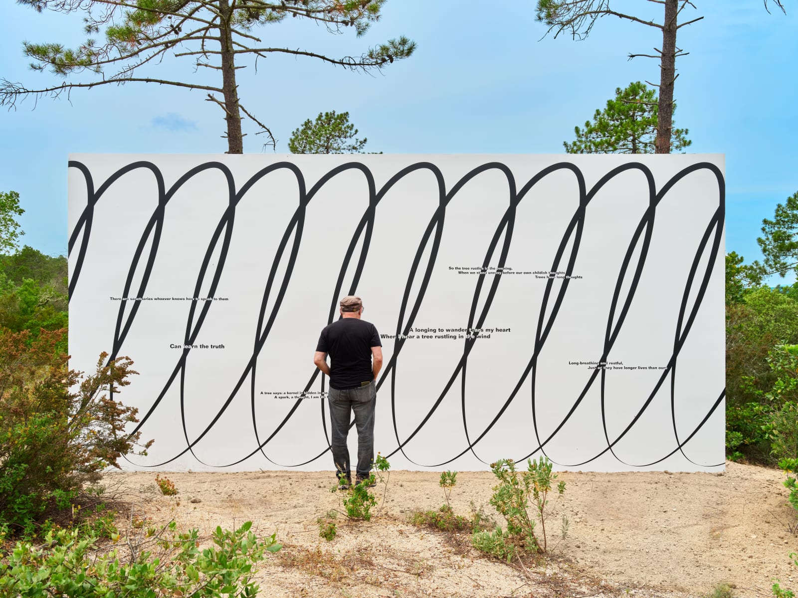 Claudia Comte, Whoever Has Learned How to Listen to Trees, 2025