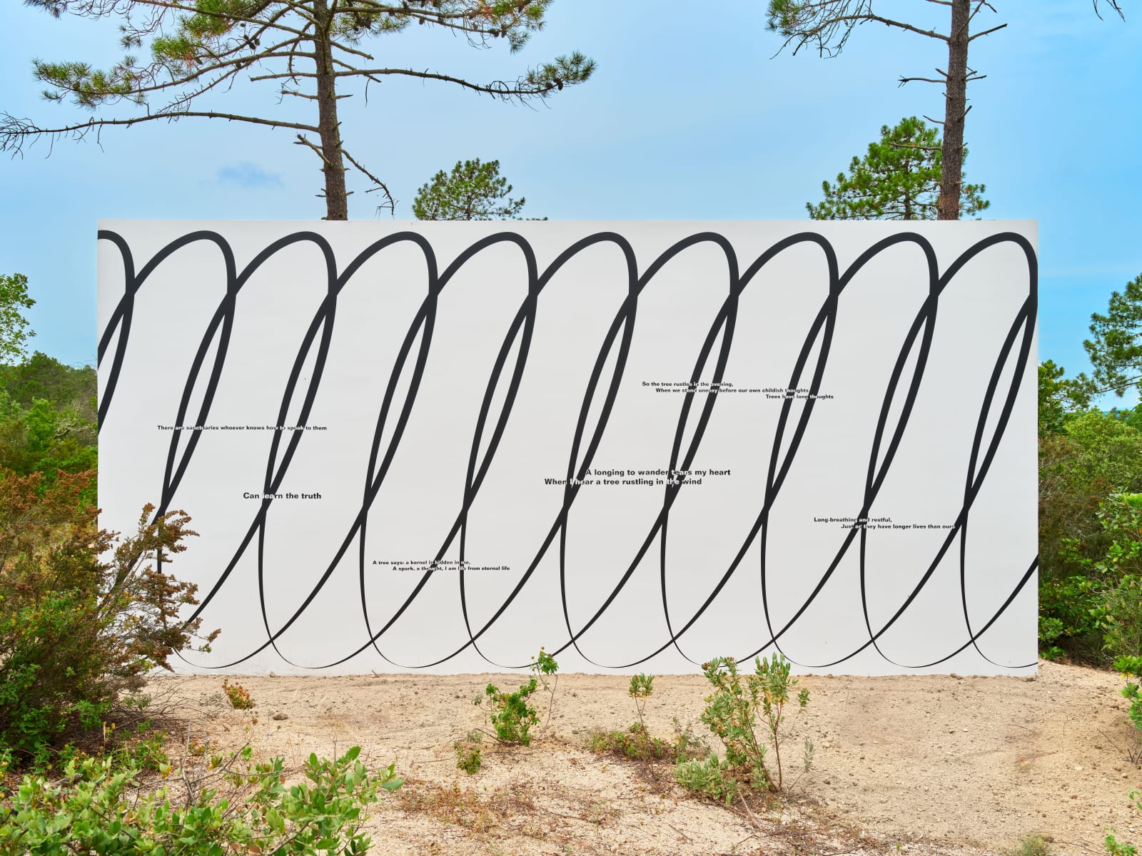 Claudia Comte, Whoever Has Learned How to Listen to Trees, 2025