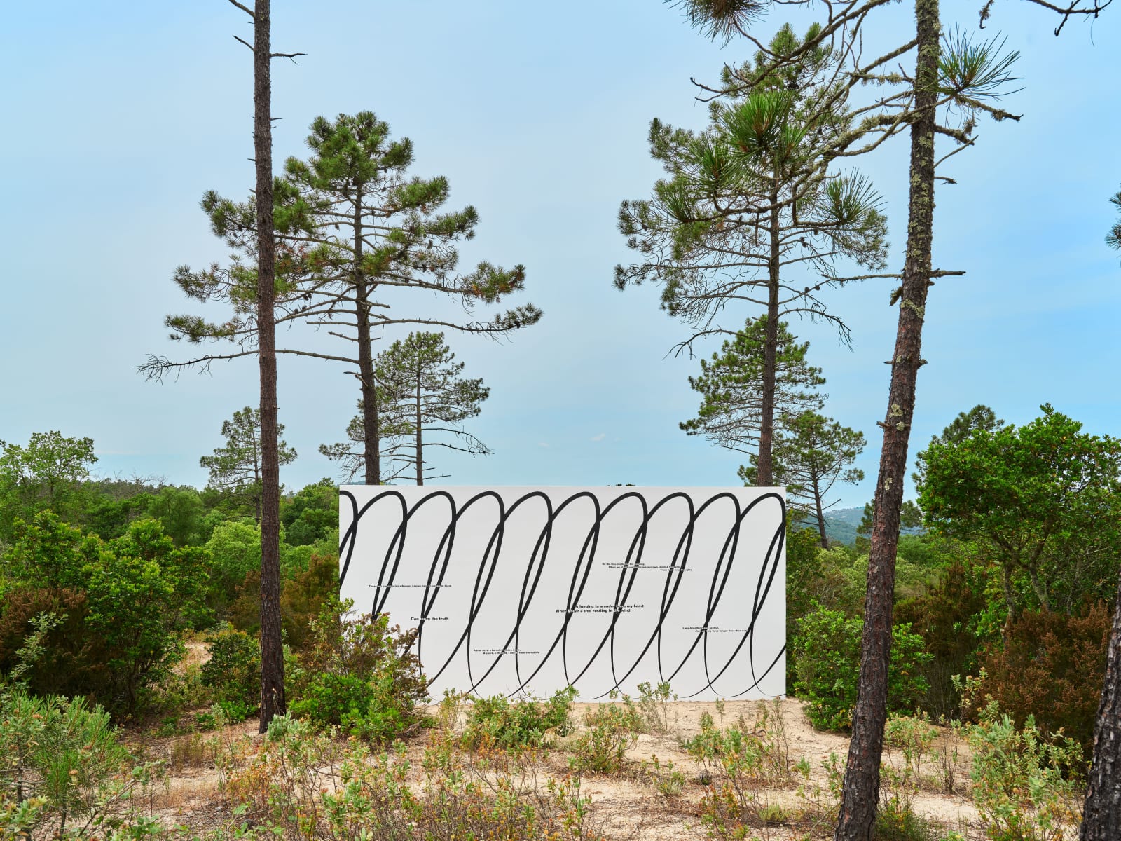 Claudia Comte, Whoever Has Learned How to Listen to Trees, 2025