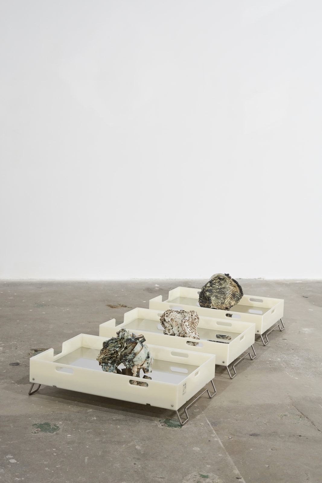 Sophie-Mei Birkin I didn't ask to be dredged (series), 2025 Installation view