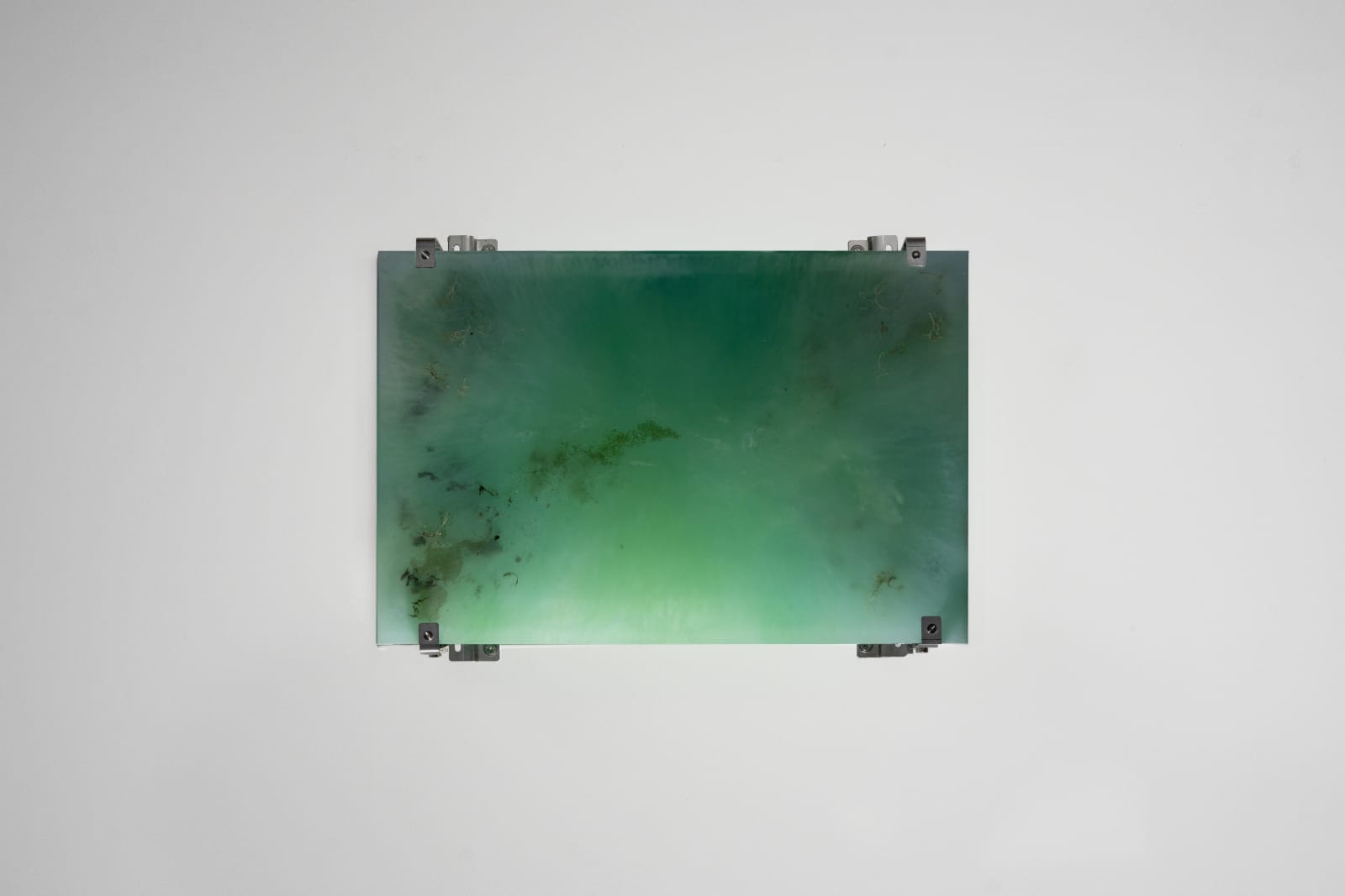 Sophie-Mei Birkin Composite Water Sample - tea clouded, 2024 Bio-resin, aluminium, mixed materials 35 x 45.5 x 9 cm