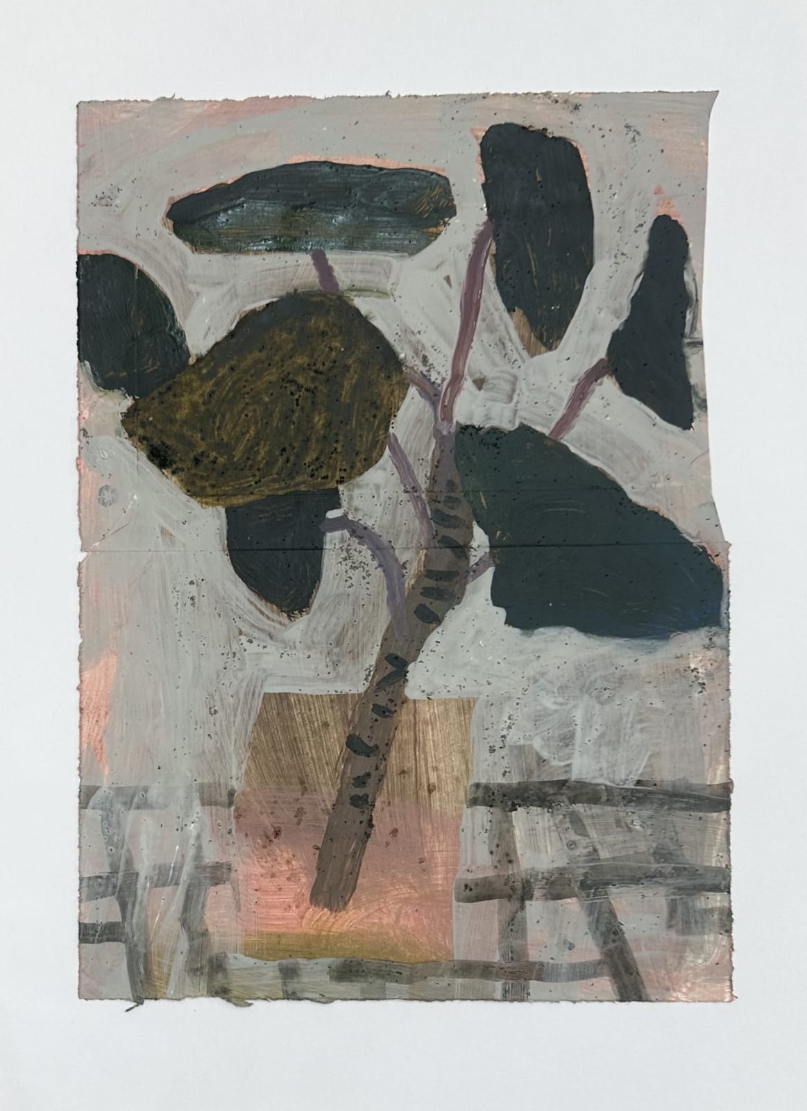 Stuart Low, Studio plants