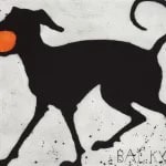 Kate Boxer, Backy