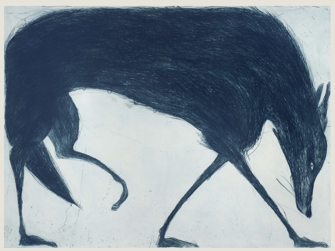 Kate Boxer, Blue Wolf