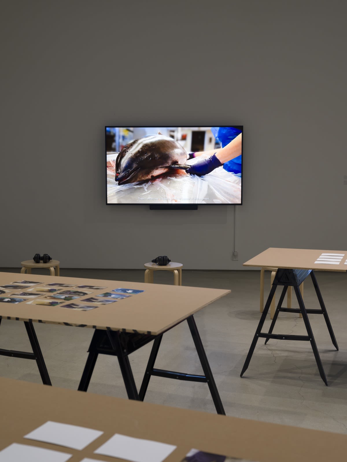 Installation views. Courtesy of the ICA LA