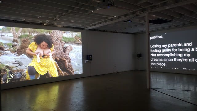 Installation view, Patty Chang's Milk Debt, ©️ 18th Street Arts Center