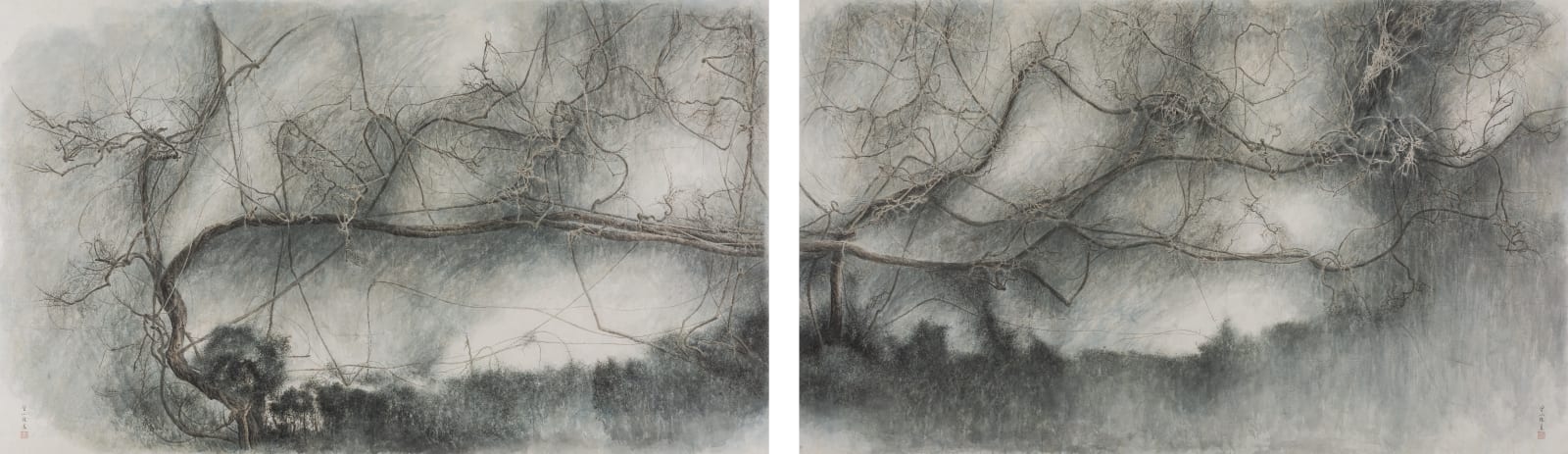 曾小俊 Zeng Xiaojun, 羅馬茱麗葉別墅古藤2015