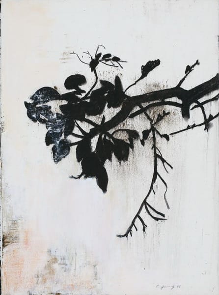 楊識宏 Yang Chihung, 懸