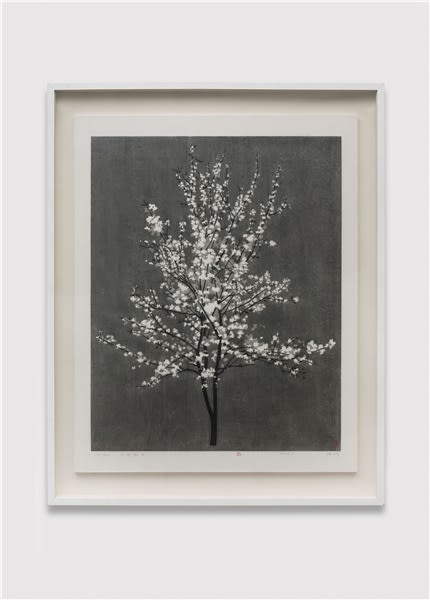 陳琦 CHEN Qi, 又見梨花