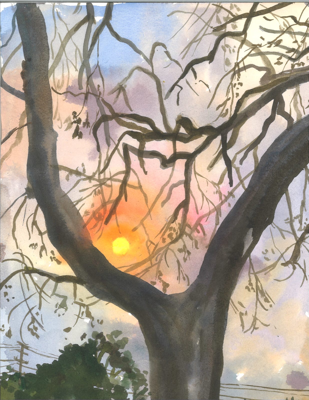 Michelle Blade, Fire Sun Against Japanese Elm