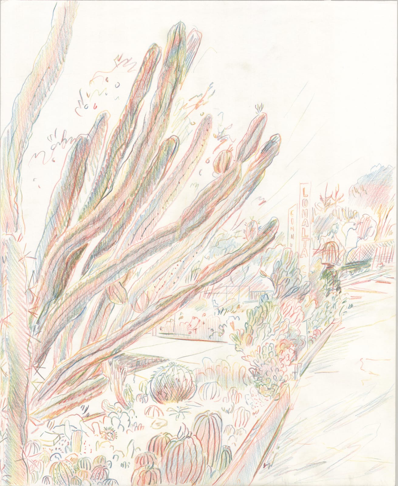 Michelle Blade, Loma Alta Community Garden Study