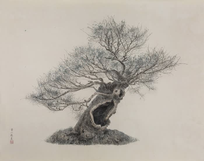 曾小俊 Zeng Xiaojun, 小孤山館藏盆景二