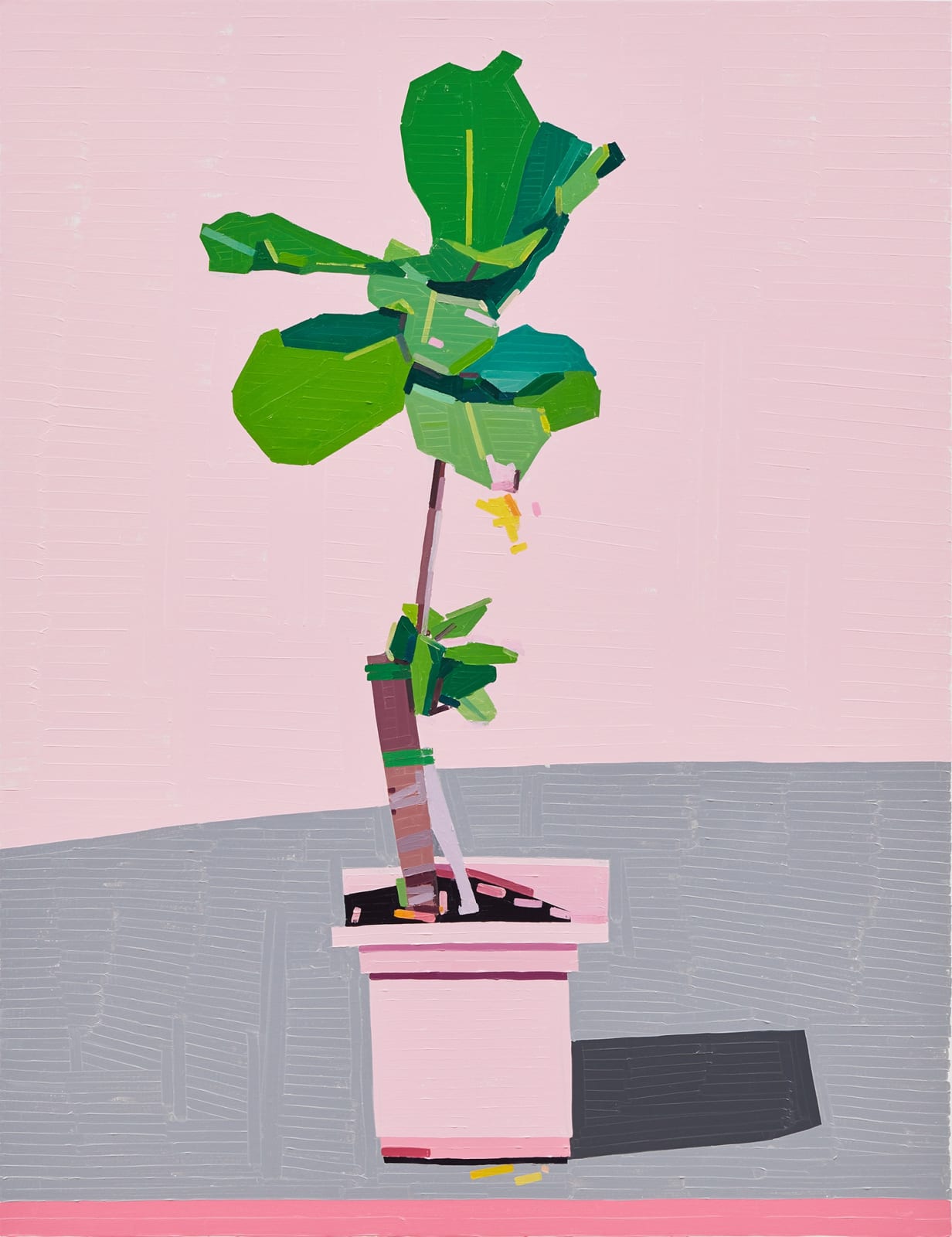 Guy Yanai, Frutta Castelvetrano