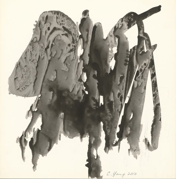 楊識宏 Yang Chihung, 無題