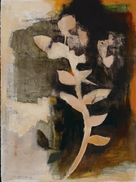 楊識宏 Yang Chihung, 花之標本
