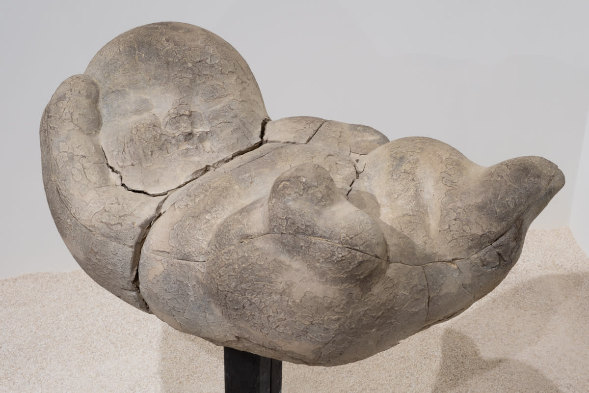 李真 LI CHEN, 赤子