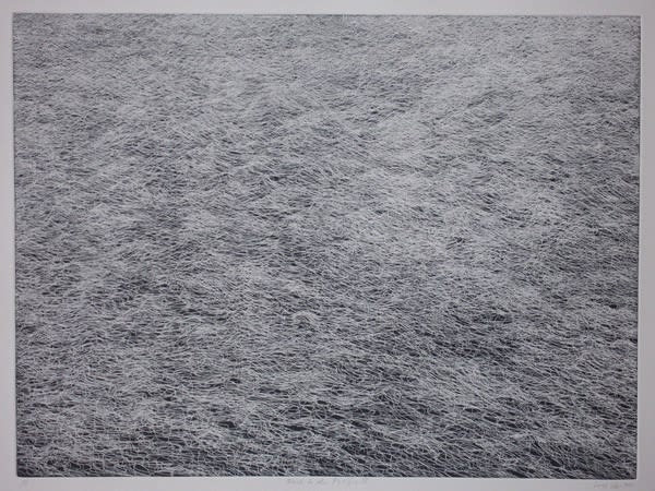 鄭麗雲 Leigh Li-Yun Wen, 回歸太初 III