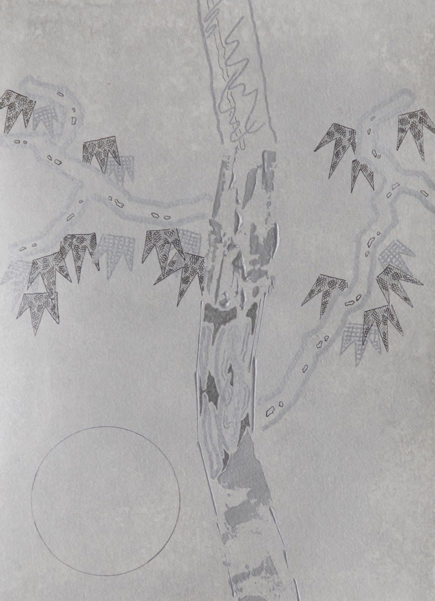 金景鴻 Jinghong, 銀樹