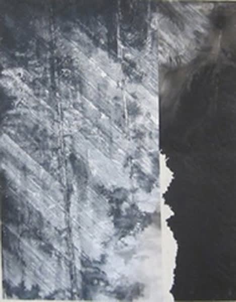 鄭重賓 Zheng Chongbin, 接近90°角的墨韻