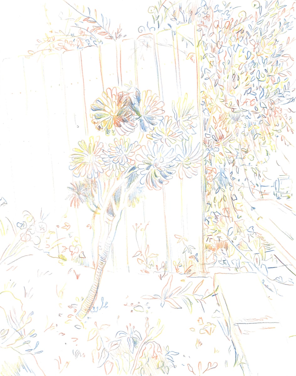 Michelle Blade, Altadena Rosettes Study