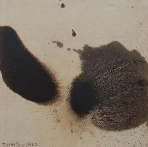 毛栗子 Mao Lizi, 花非花 2010 07 02