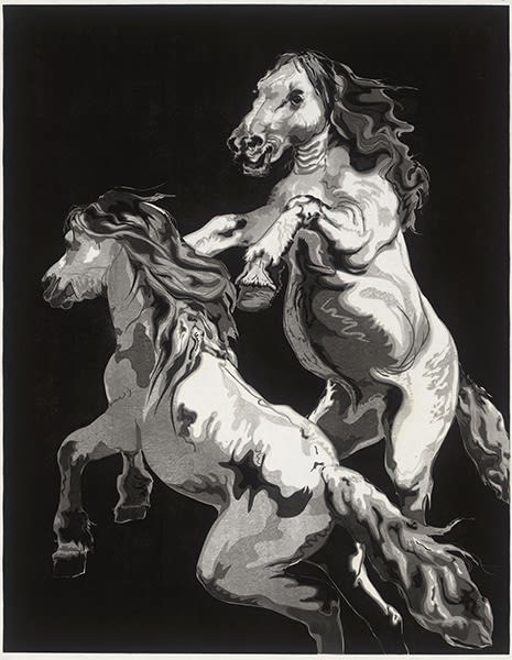 侯煒國 Hou Weiguo, 什馬