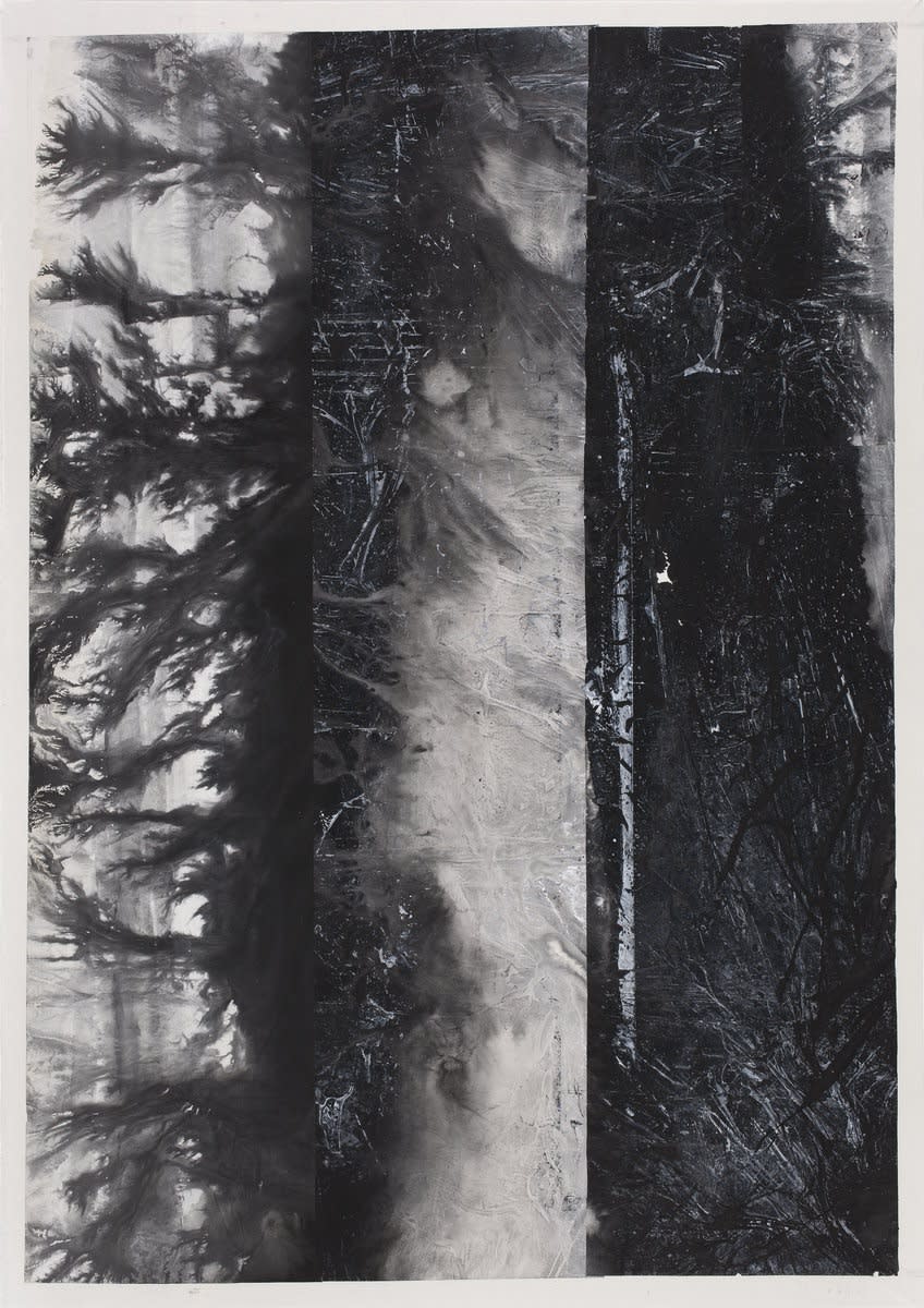 鄭重賓 Zheng Chongbin, 三類氣態