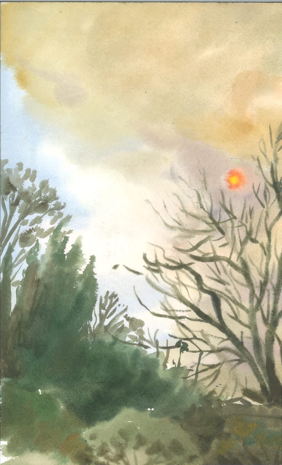 Michelle Blade, Altadena Fire Sun Day Three