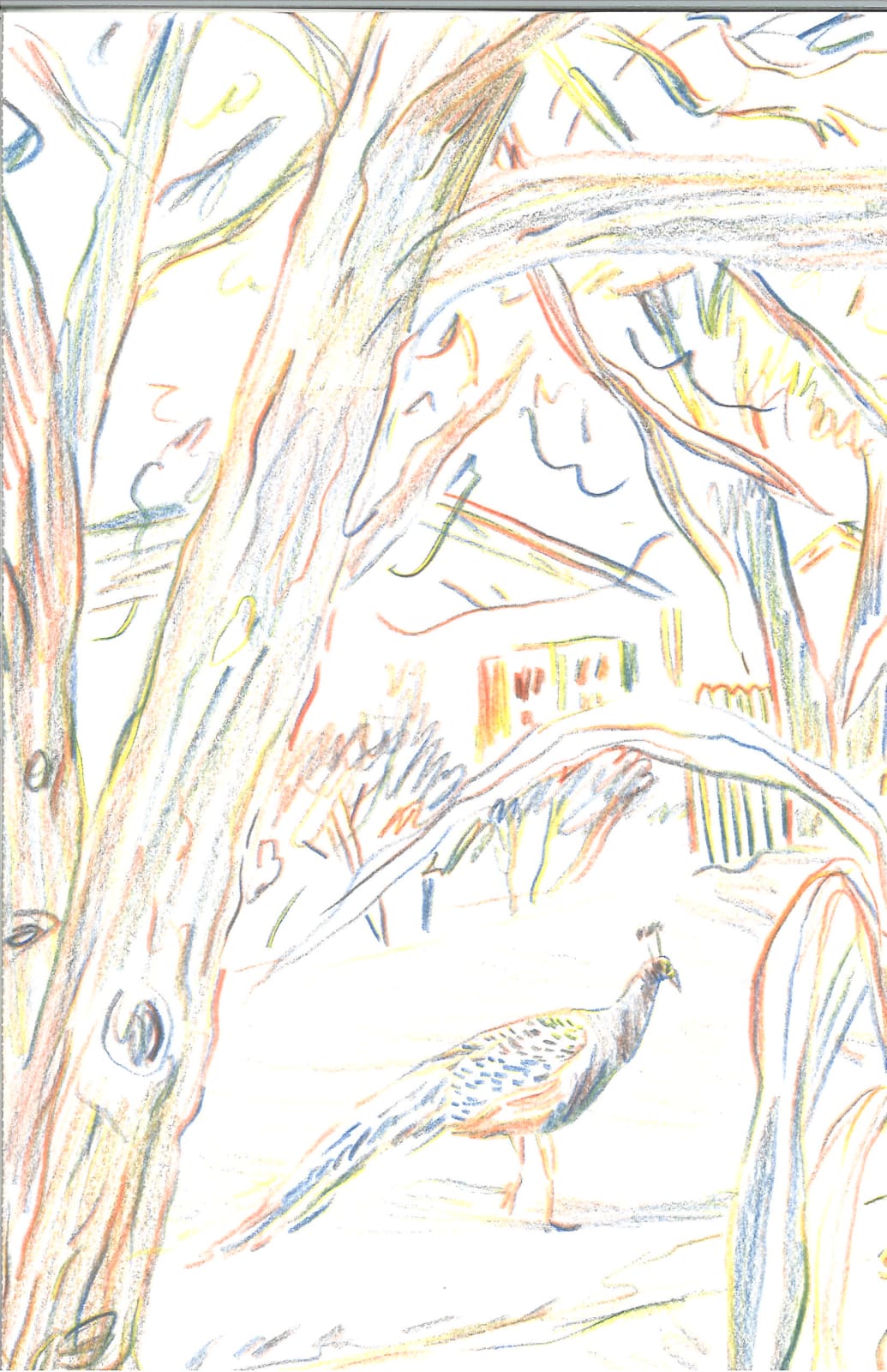 Michelle Blade, Front Yard Peacock