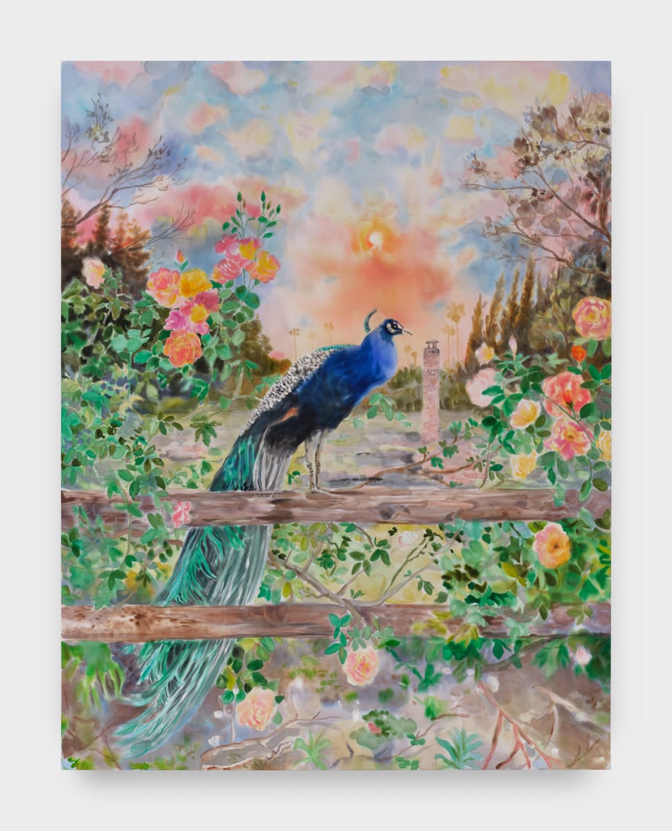 Michelle Blade, Peacock and Roses