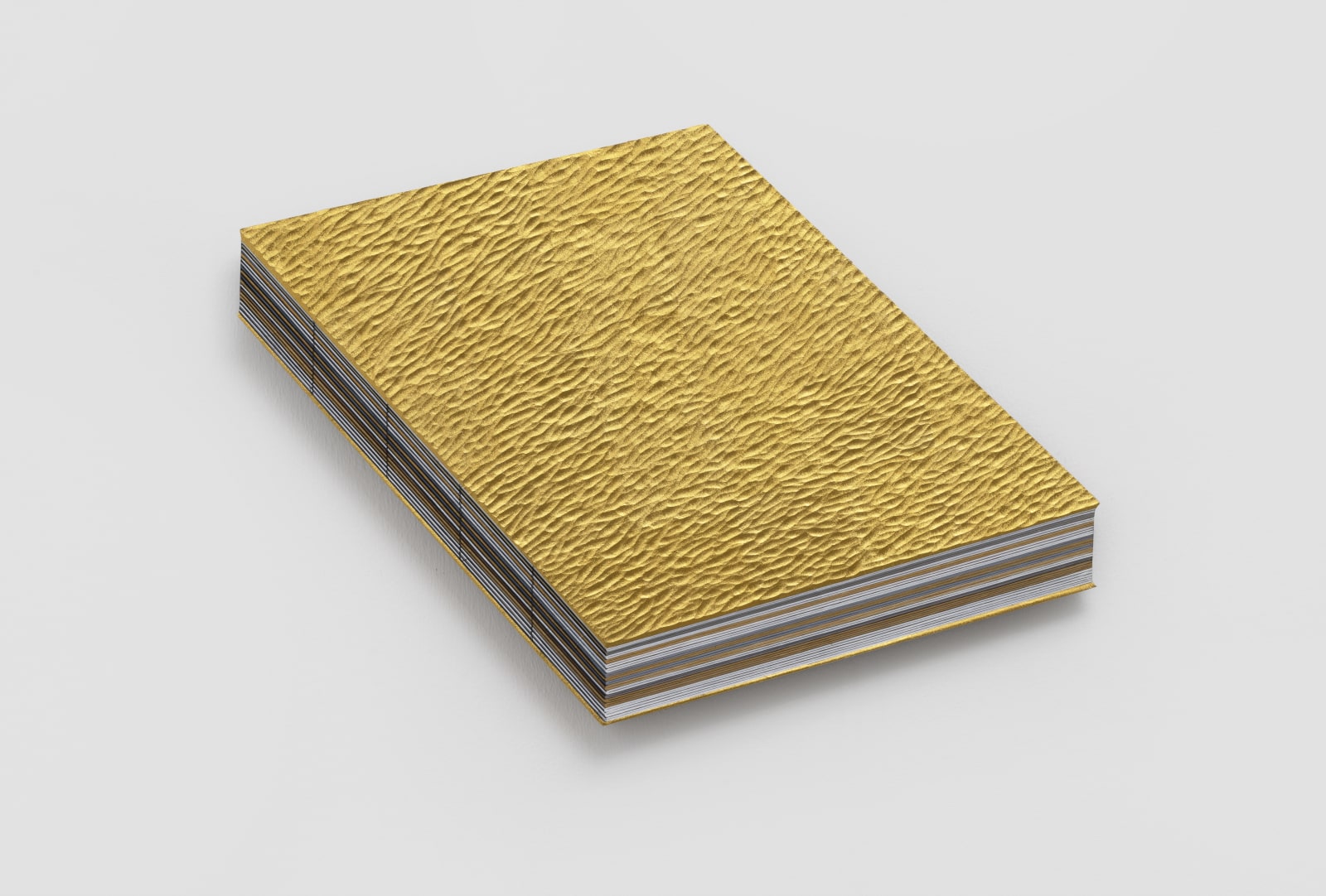 杭春暉 HANG Chunhui, 被形式遮蔽的信息-202506