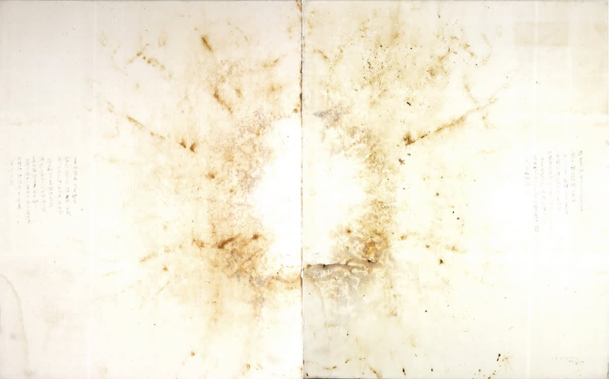 蔡國強 CAI Guo Qiang, 胎動系列二