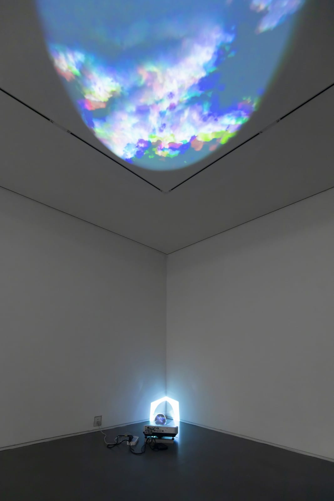 Diana Thater, Oculus