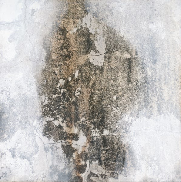 韓湘寧 HAN Hsiang-Ning, 雨水非水墨 13