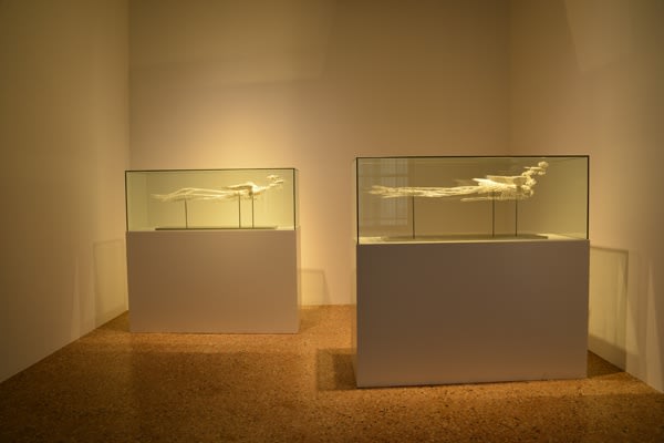 徐冰 Xu Bing, 鳳凰