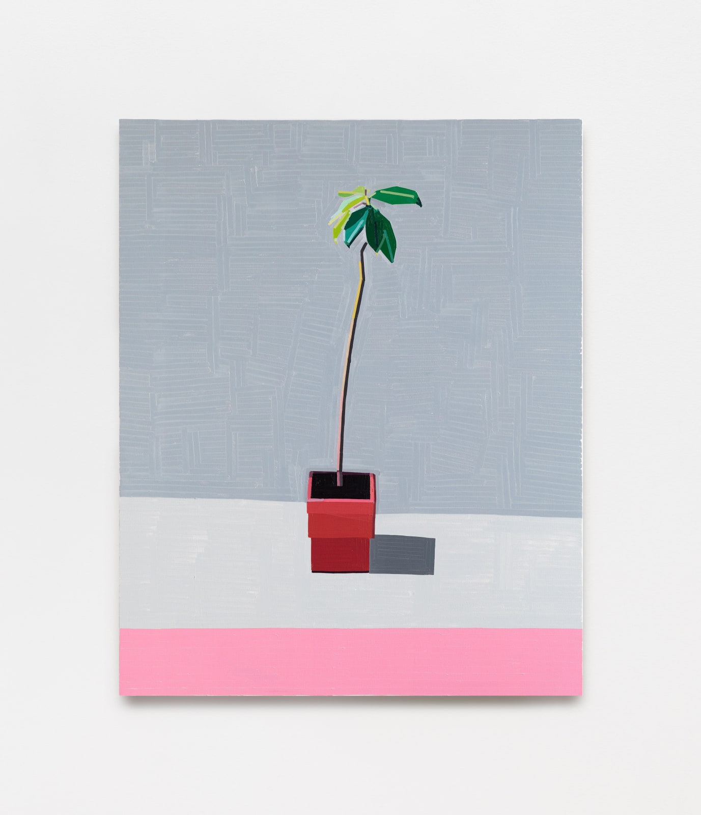 Guy Yanai, Ryder’s Plant