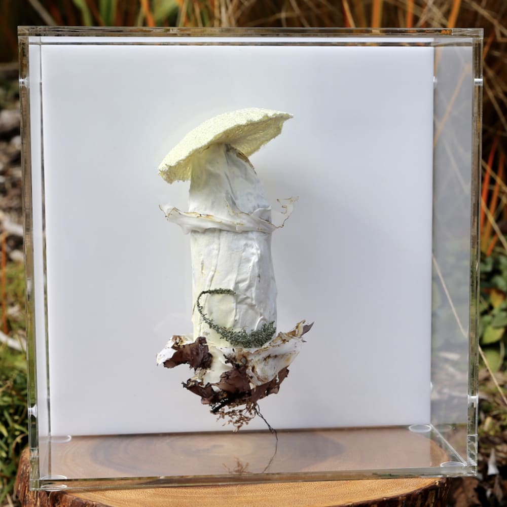 Cathy Brickhill, Deathcap Fungi Sculpture #6