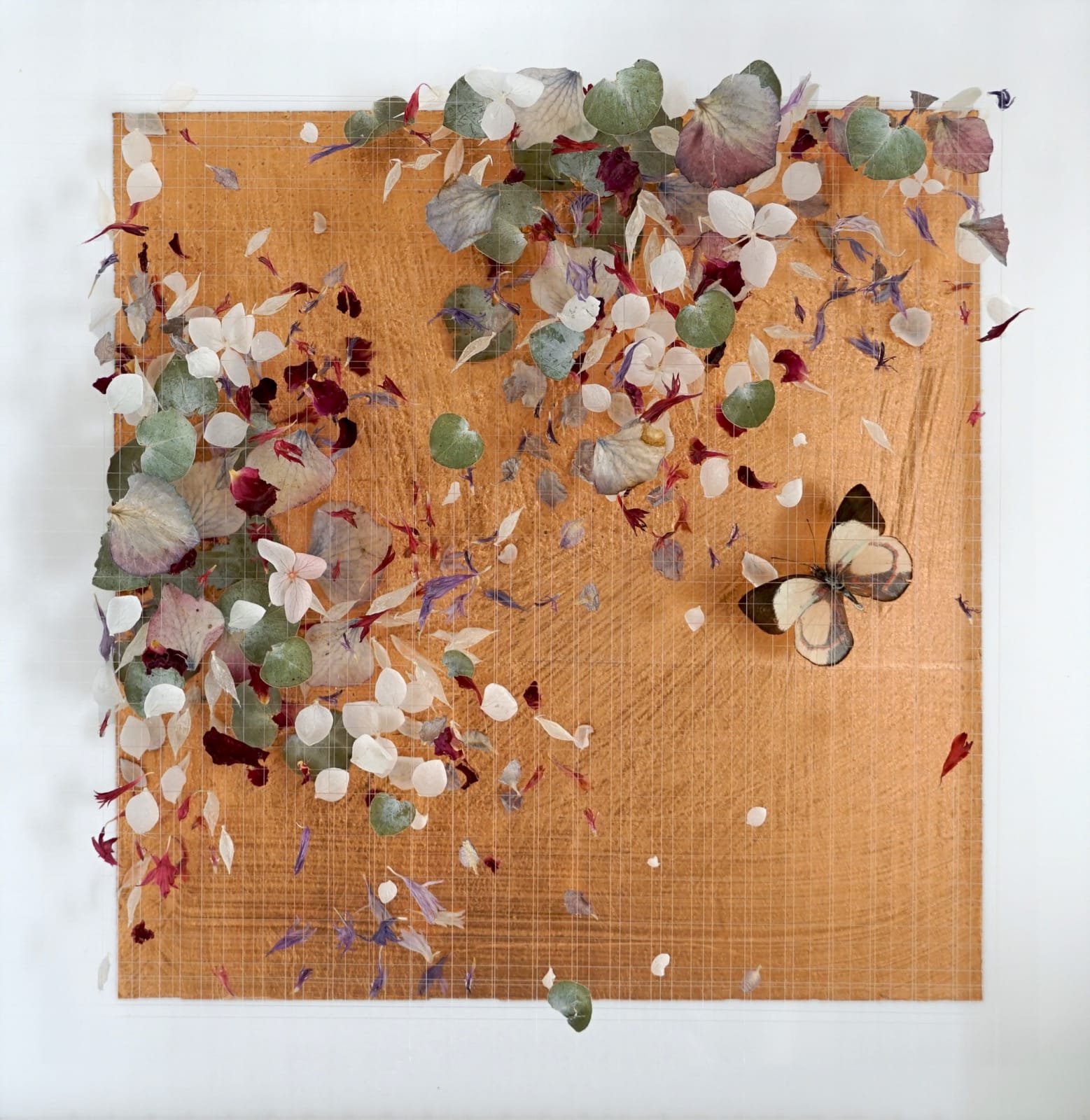 Anna Masters, Disappearing Suns 6