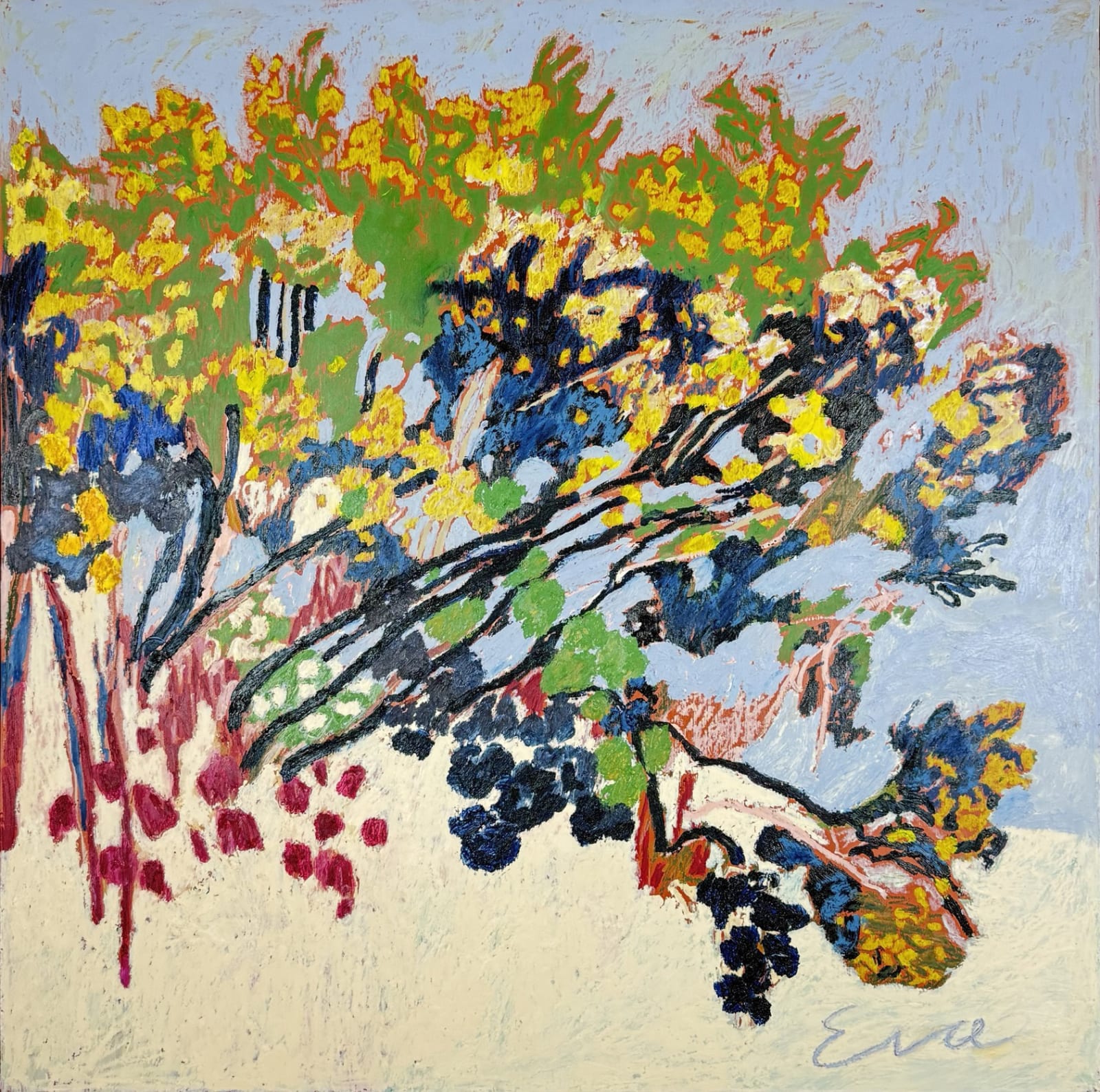 Eva Ray, Camber Gorse