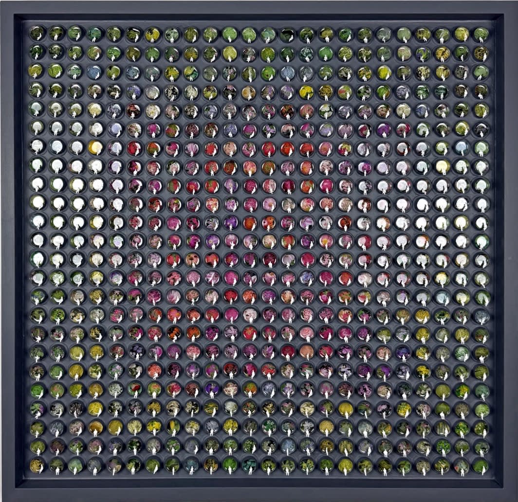 Mat Kemp, Night Garden