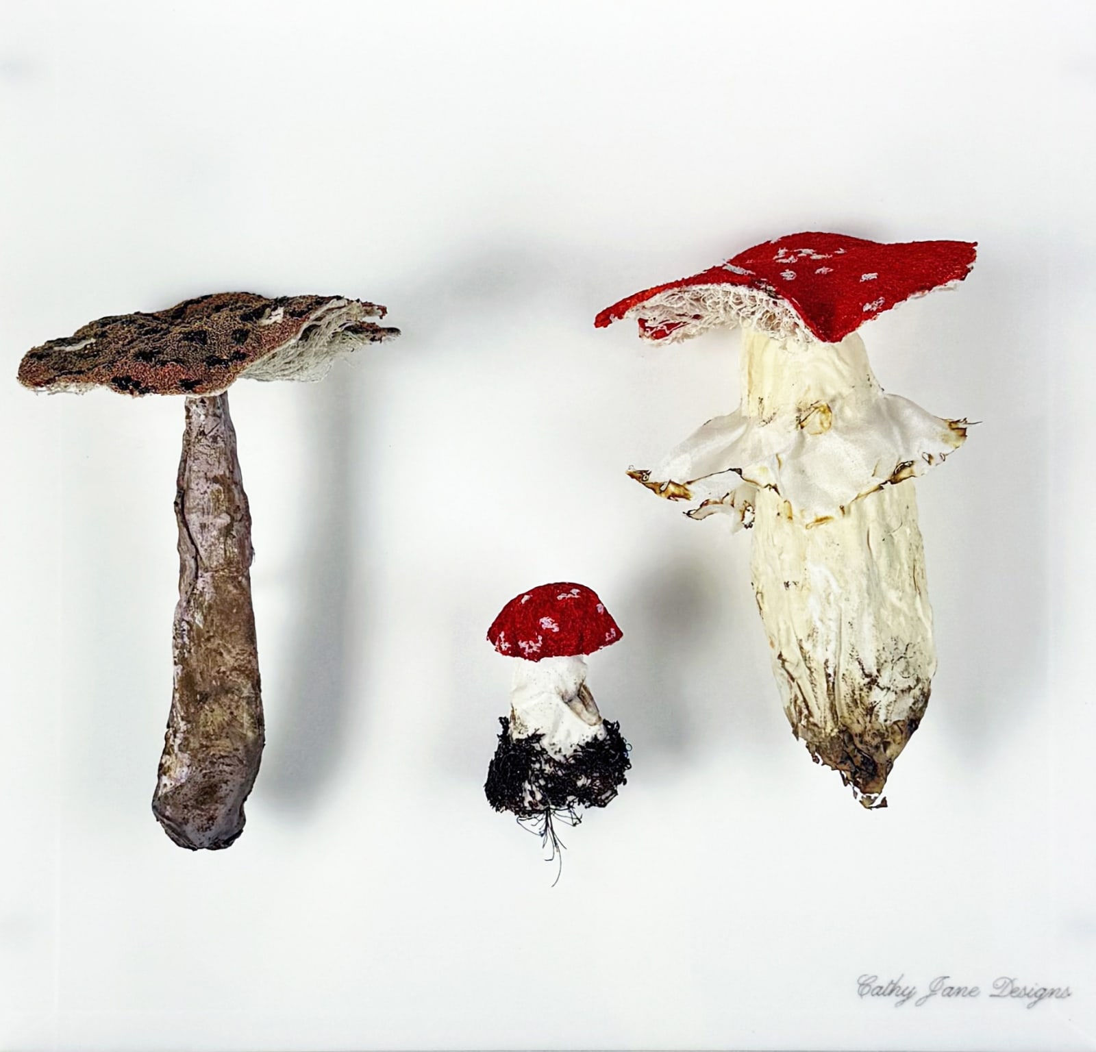 Cathy Brickhill, Amanita Fungi of New Zealand